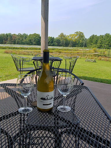 Vineyard «Vermilion Valley Vineyards», reviews and photos, 11005 Gore Orphanage Rd, Wakeman, OH 44889, USA