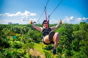 Awesome Flight Cozumel image