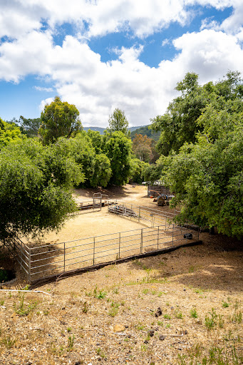 Holly & Chris Luxury Homes Group, The Agency, Calabasas Real Estate image