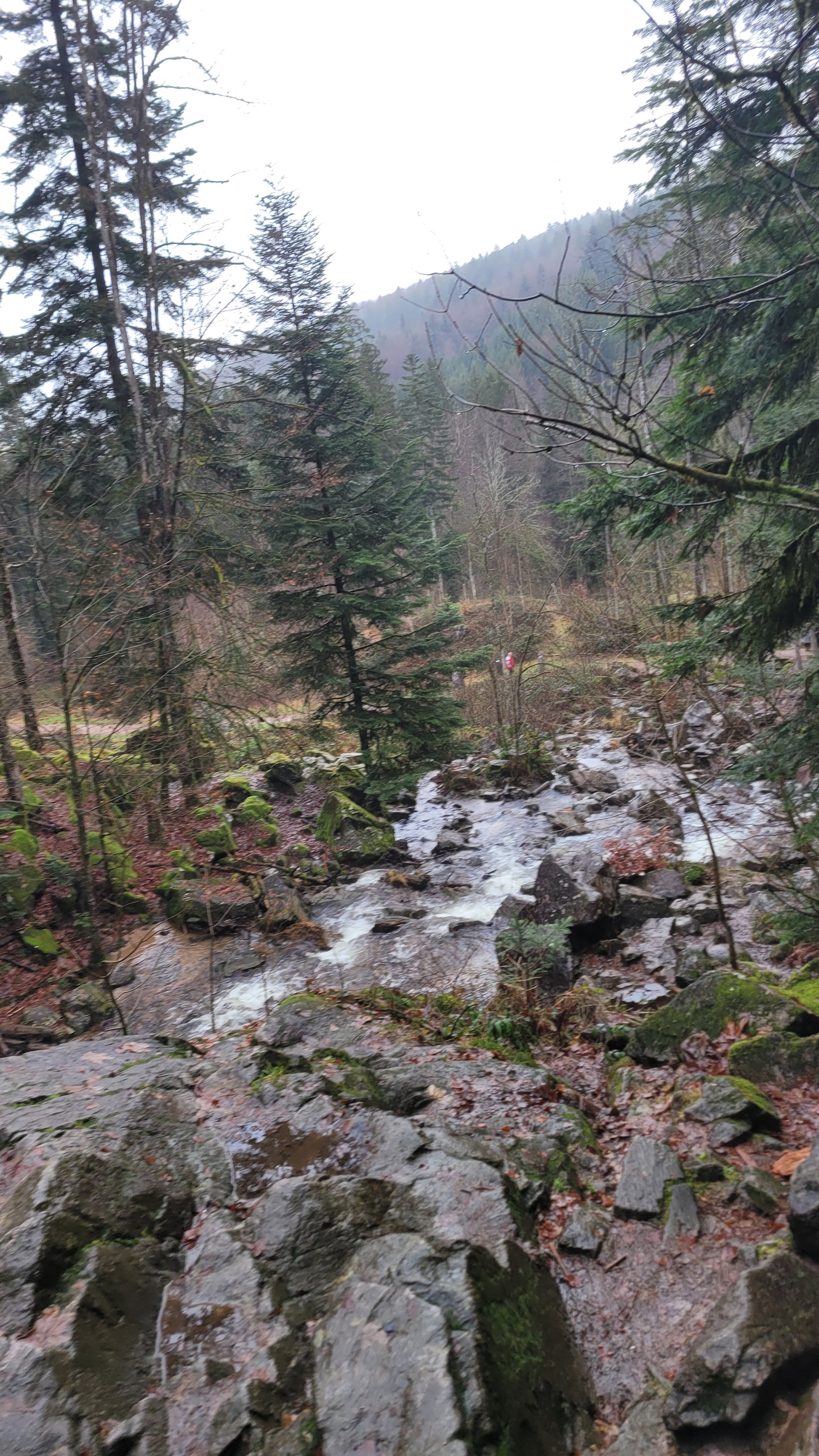 Photo n° 2 de l'avis de Julien.o fait le 27/12/2023 à 19:53