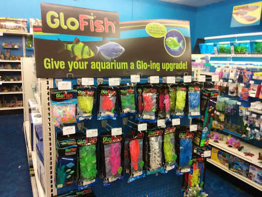 Pet Supply Store «Pet Supermarket», reviews and photos, 2649 E Gulf to Lake Hwy, Inverness, FL 34452, USA