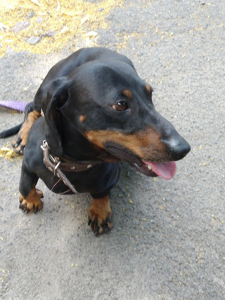 Зручне розташування