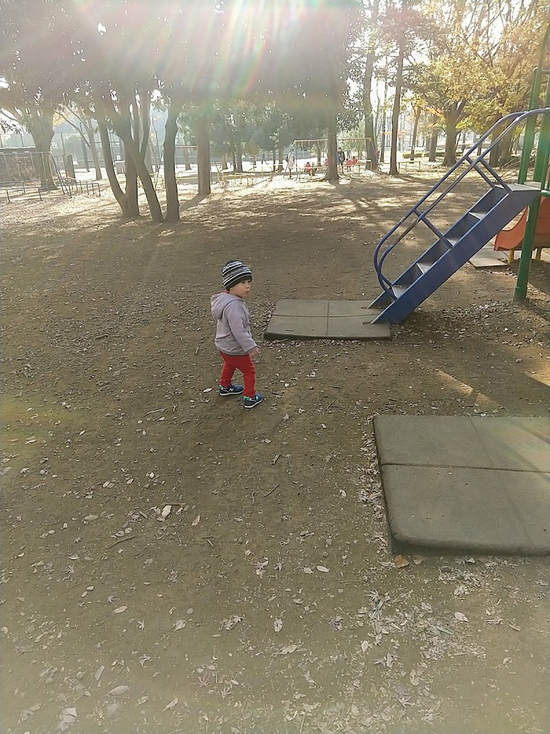 光が丘公園 ちびっ子広場 東京都練馬区光が丘 公園 グルコミ
