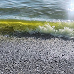 Photo n°10 de l'avis de Raffaele.s fait le 29/07/2021 à 11:49 sur le  Villaggio Club Dominicus à Grisolia