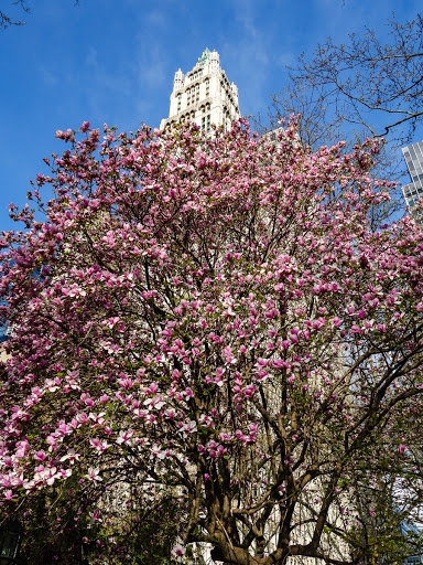 Historical Landmark «The Woolworth Building», reviews and photos, 233 Broadway, New York, NY 10007, USA