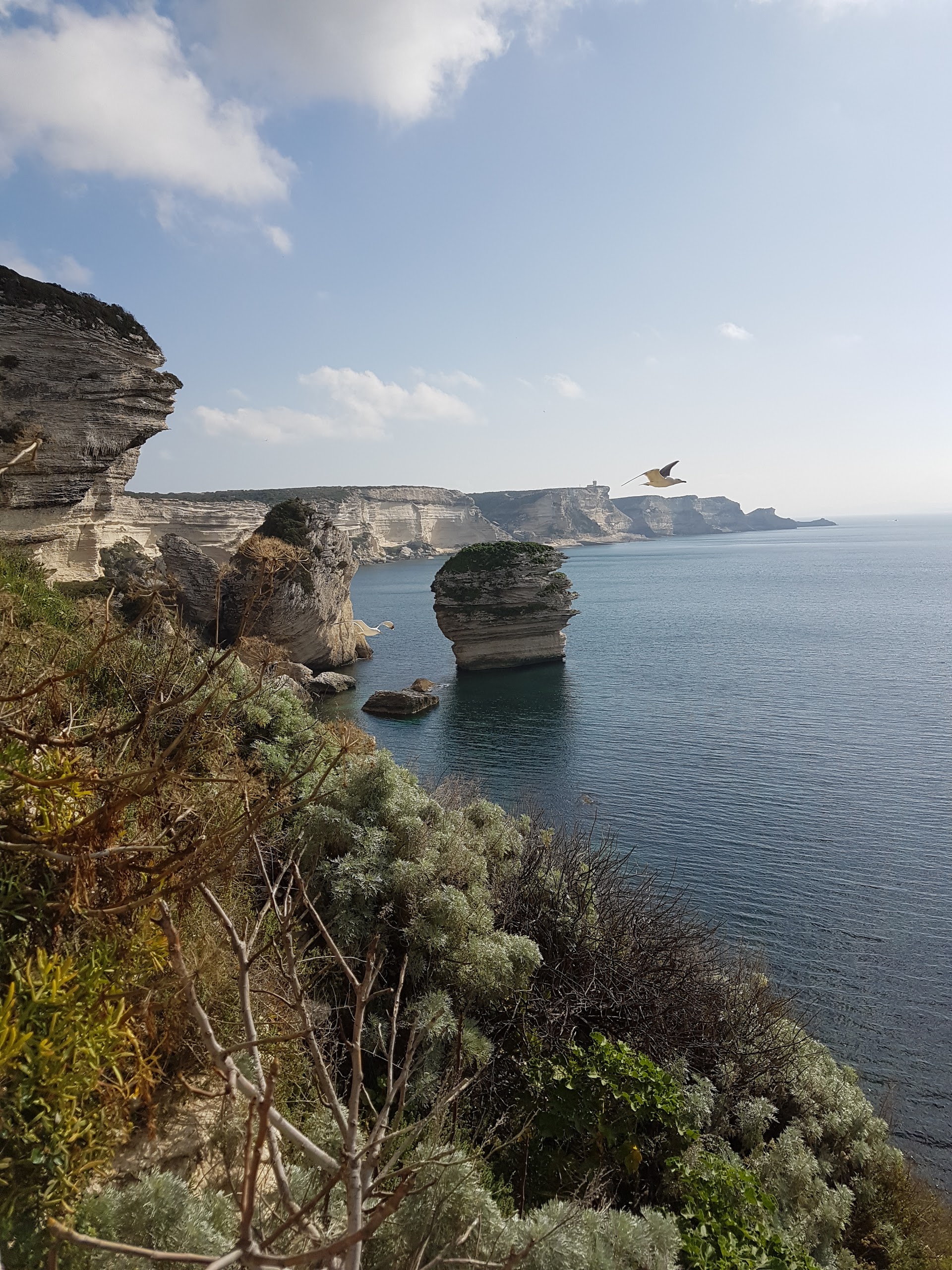 Photo n° 1 de l'avis de Odile.r fait le 17/04/2017 à 20:52