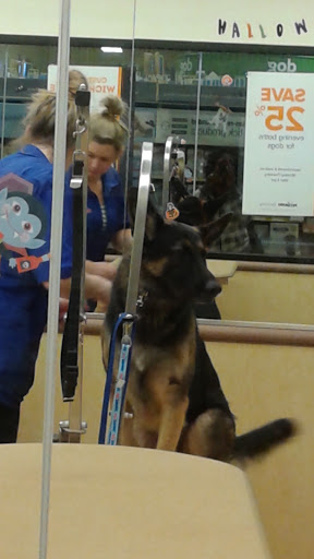 Pet Supply Store «PetSmart», reviews and photos, 620 N West End Blvd, Quakertown, PA 18951, USA