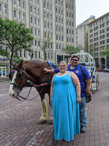 Carriage Ride Service «Blue Ribbon Carriages», reviews and photos, 1 Monument Cir, Indianapolis, IN 46204, USA