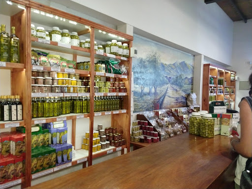 Stores to buy visco oils Mendoza