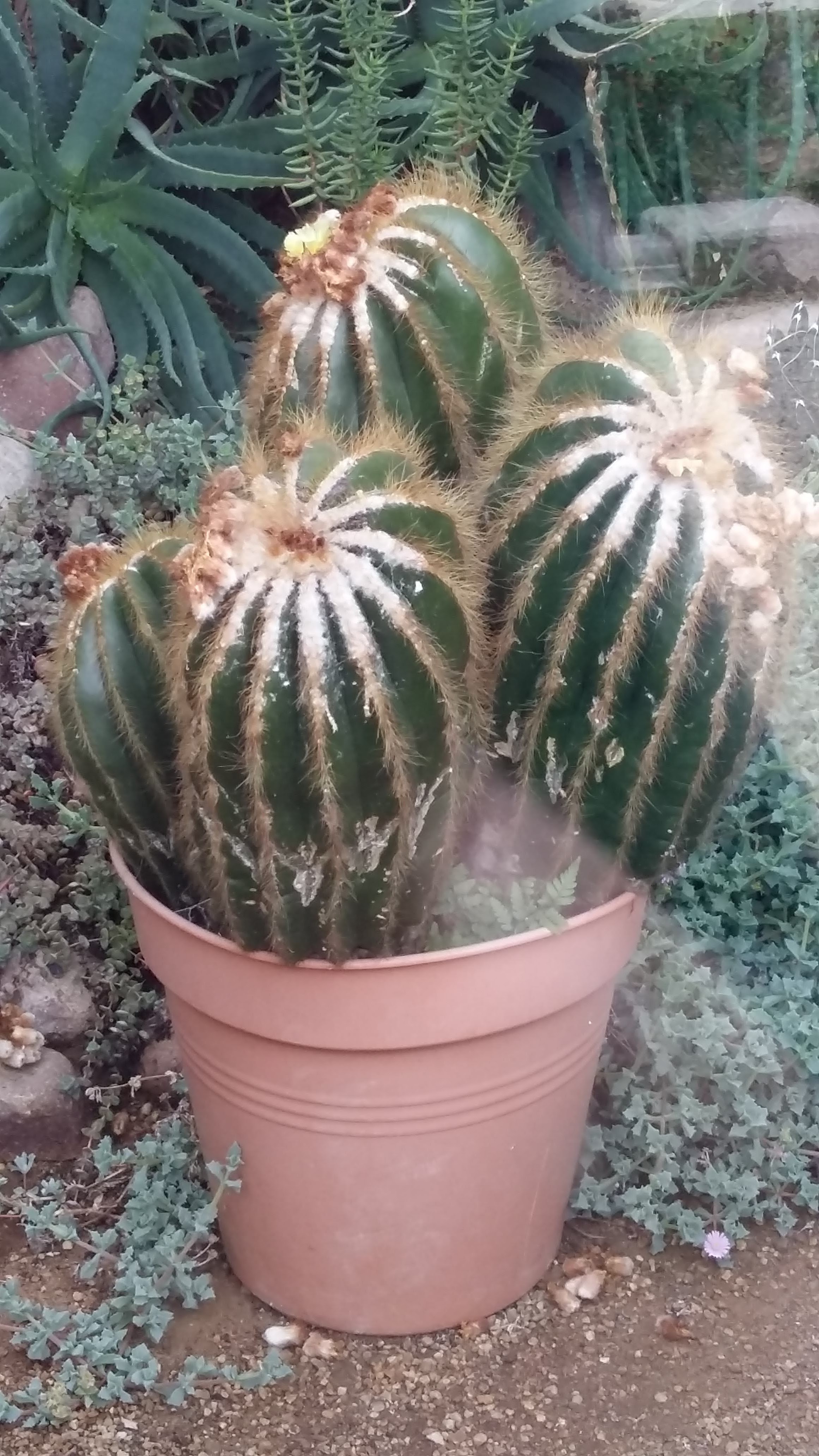 Photo n° 4 de l'avis de Voldor.5 fait le 19/05/2019 à 22:17