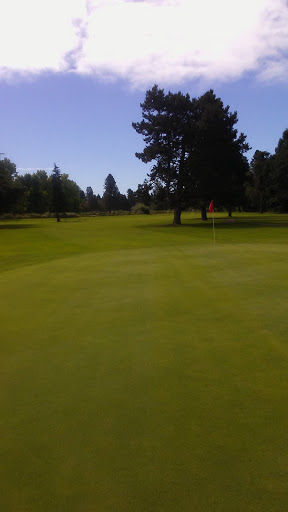 Golf Course «Meadowlawn», reviews and photos, 3838 Meadowlawn Loop SE, Salem, OR 97317, USA