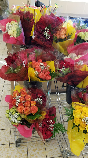 Supermarket «ALDI», reviews and photos, 199 Miller Dr, North Aurora, IL 60542, USA