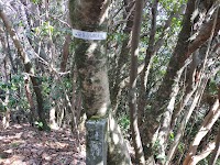 笹岳 北峰ぬはに玉谷は仁万