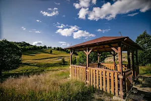 Cabana Hanul Morii: natura, piscina, sauna, jacuzzi - ROUTE 60 image