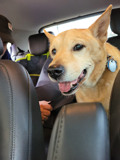 Pet Supply Store «PetSmart», reviews and photos, 4794 Jimmy Lee Smith Pkwy #108, Hiram, GA 30141, USA