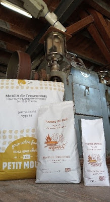 Moulin De Trescanous à Saint-Saturnin-de-Lenne