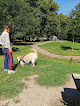 Dog friendly parks in Copenhagen