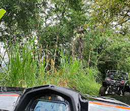 Bali Quad Discovery Tours photo