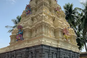 Sri Srungara Vallabha Swamy Temple image