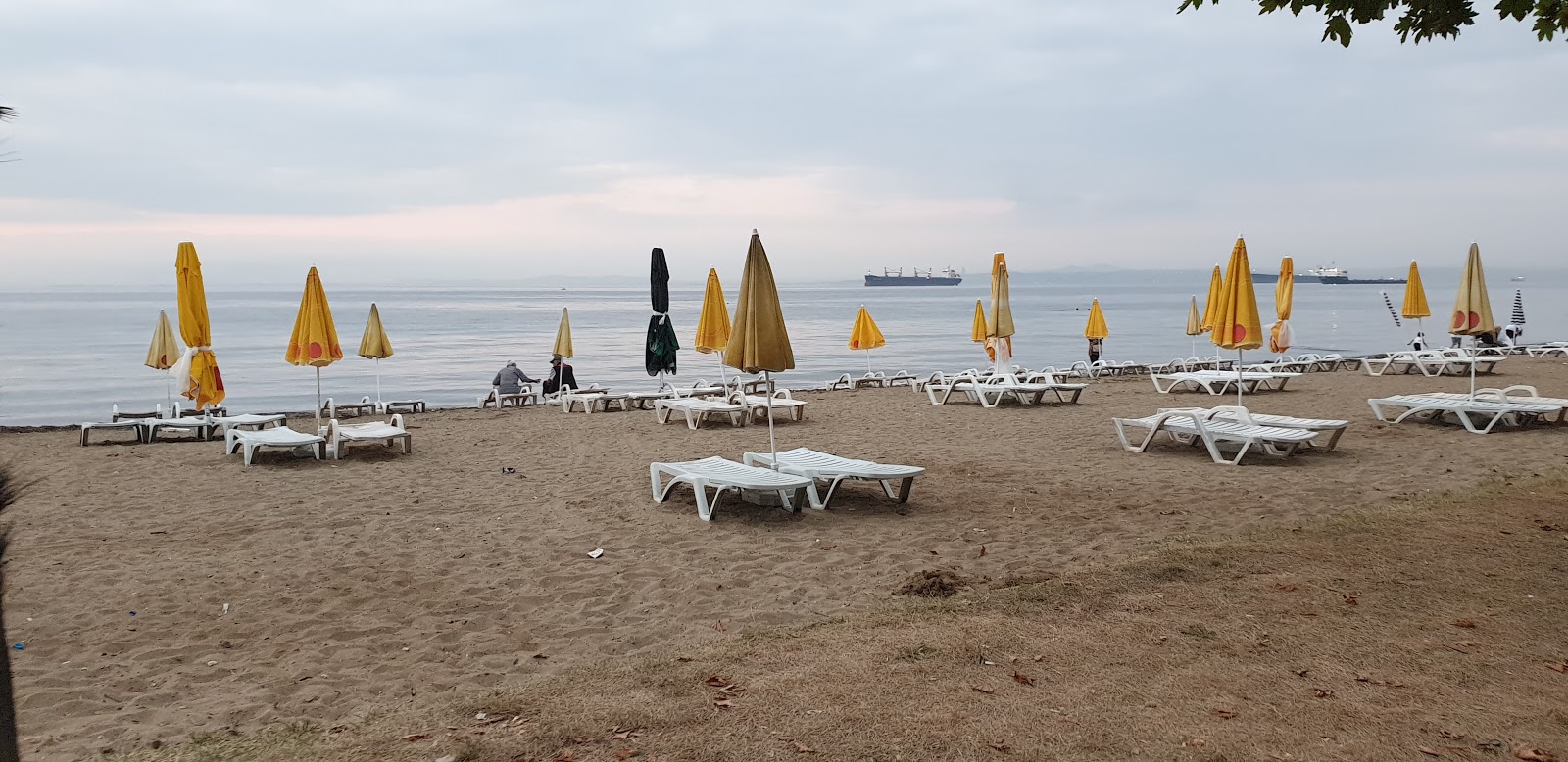 Fotografie cu Dejavu beach cu nivelul de curățenie in medie