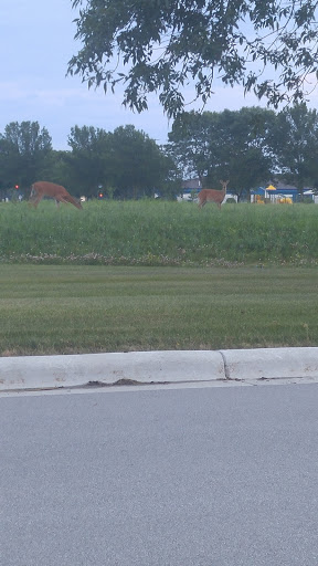 Insurance Agency «Humana Inc», reviews and photos