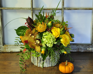 Florist «Polites Florist», reviews and photos, 443 Baltimore Pike, Springfield, PA 19064, USA