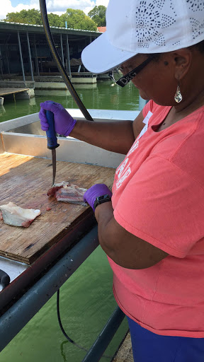 Bait Shop «Clarks Tackle», reviews and photos, 696 I-30 Frontage Rd, Garland, TX 75043, USA