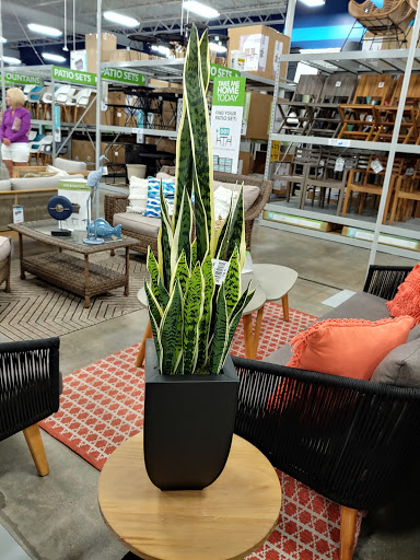 Shopping Mall «Riverdale Plaza Shopping Center», reviews and photos, 1044 W Mercury Blvd, Hampton, VA 23666, USA