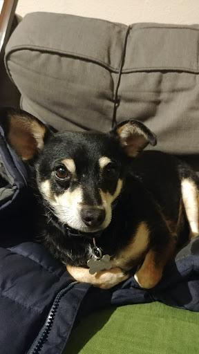 Hair Salon «Cathedral Park Salon», reviews and photos, Cathedral Park Salon, 7227 N Philadelphia Ave #103, Portland, OR 97203, USA