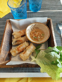 Rouleau de printemps du Restaurant asiatique SAIKYO restaurant à Cornebarrieu - n°1