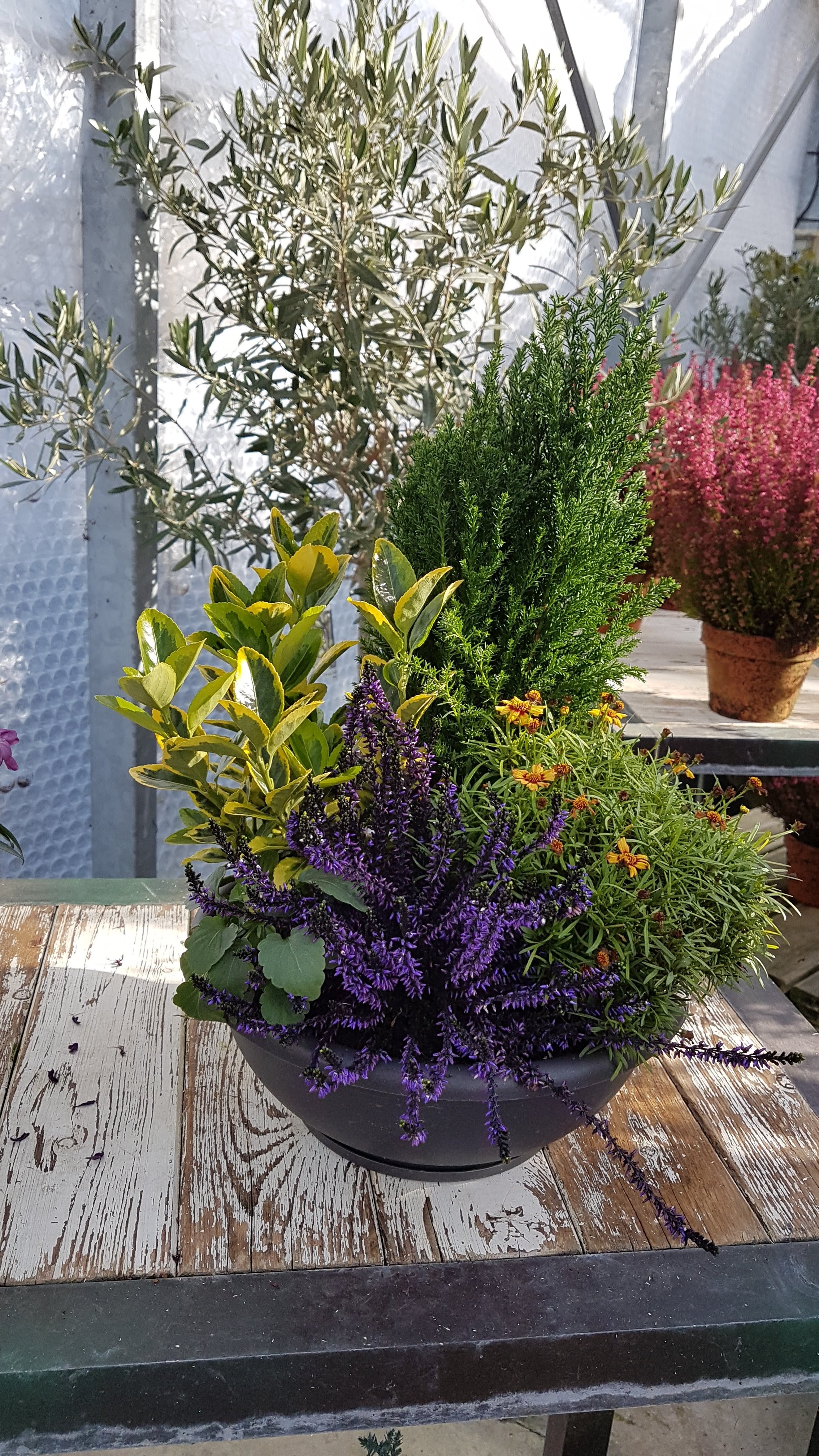 Photo n° 2 de l'avis de Céline.a fait le 20/11/2019 à 12:07