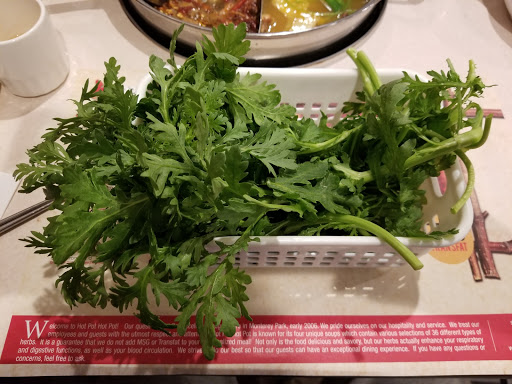Hot Pot, Hot Pot image