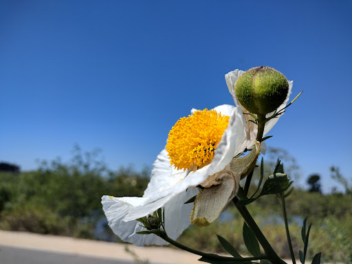 Park «Haster Basin Recreational Park», reviews and photos, 12952 Lampson Ave, Garden Grove, CA 92840, USA