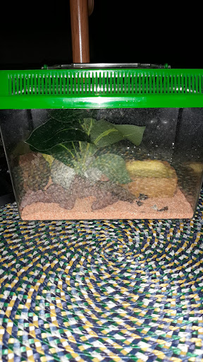 Pet Supply Store «Pet Supermarket», reviews and photos, 1080 Alafaya Trail, Oviedo, FL 32765, USA