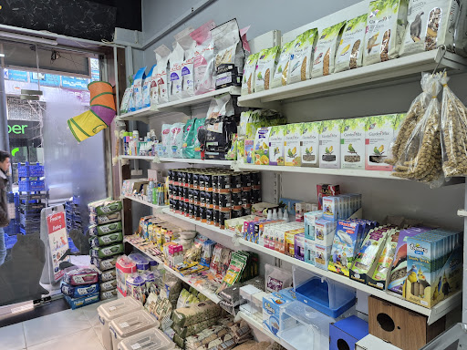 Freedom Petshop | Kağıthane İstanbul - Evcil hayvan mağazası