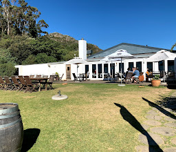 Green Vine Eatery photo