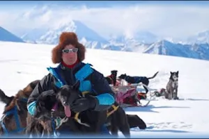 EarthSong Lodge & Denali Dog Sled Expeditions image