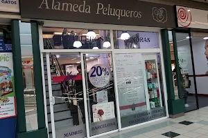 Alameda Peluqueros image