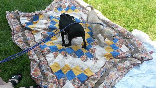 Auto Parts Store «A&A Auto Stores», reviews and photos, 360 N 9th St, Stroudsburg, PA 18360, USA