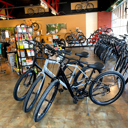 Bicycle store Augusta