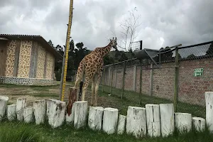 Loja Zoo image