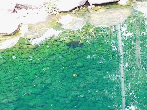 Zoo «Red River Zoo», reviews and photos, 4255 23rd Ave S, Fargo, ND 58104, USA