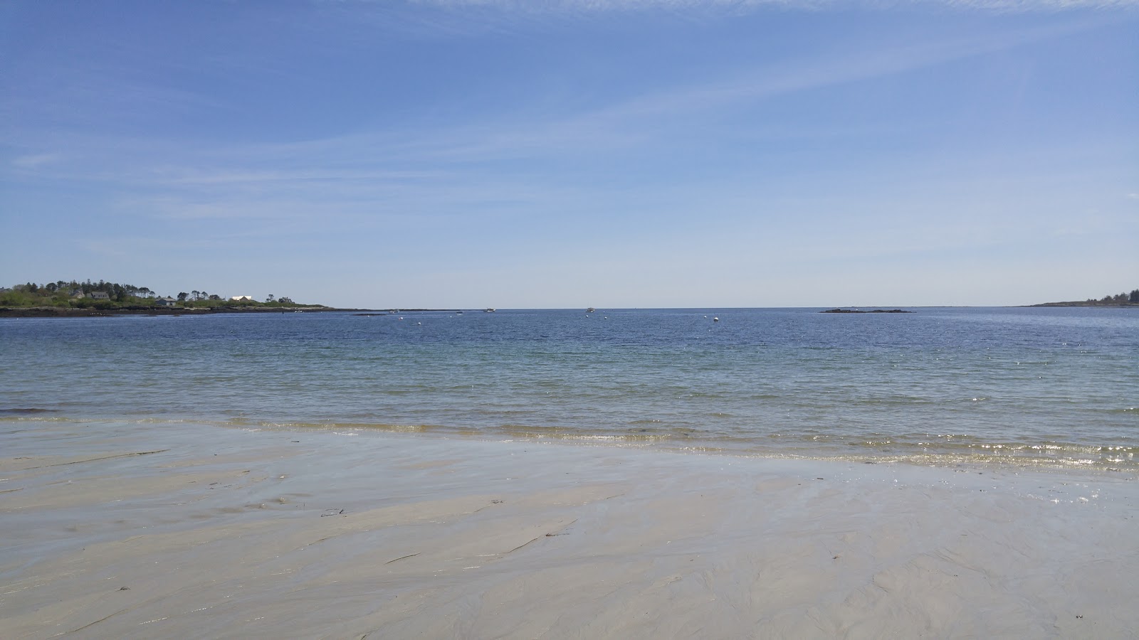 Foto van Crescent beach gelegen in een natuurlijk gebied
