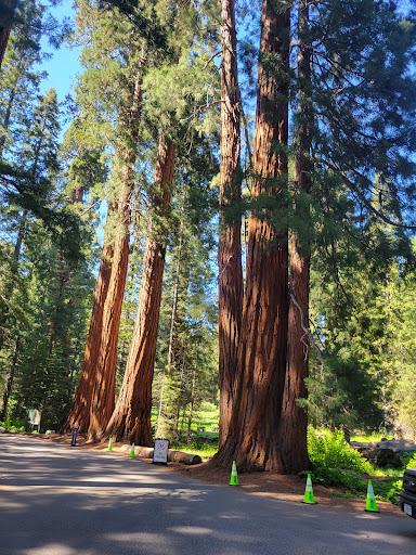 National Park «Sequoia National Park», reviews and photos