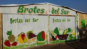Frutas y Verduras Brotes del Sur