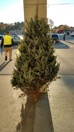 Grocery Store «Food Lion», reviews and photos, 2292 York Crossing Dr, Hayes, VA 23072, USA