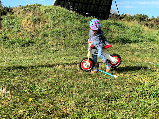 Bicycle Store «Seven Spokes Bike Shop», reviews and photos, 1044 Cleveland Ave S, St Paul, MN 55116, USA