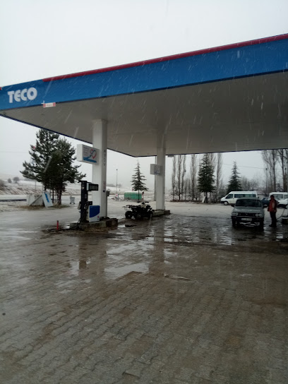 Teco-turan Petrol