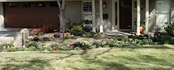 Copper Canyon Inc Lawn & Landscaping - Car repair in , Little Rock - Rated 3.9/5