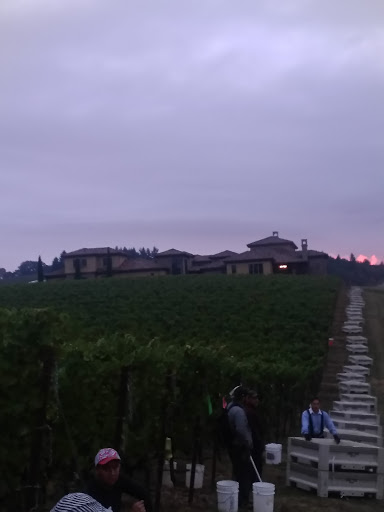 Market «Guacamole Market», reviews and photos, 1335 N Pacific Hwy # 130, Woodburn, OR 97071, USA